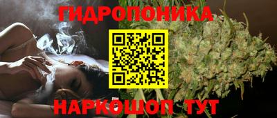 кокс Пушкино