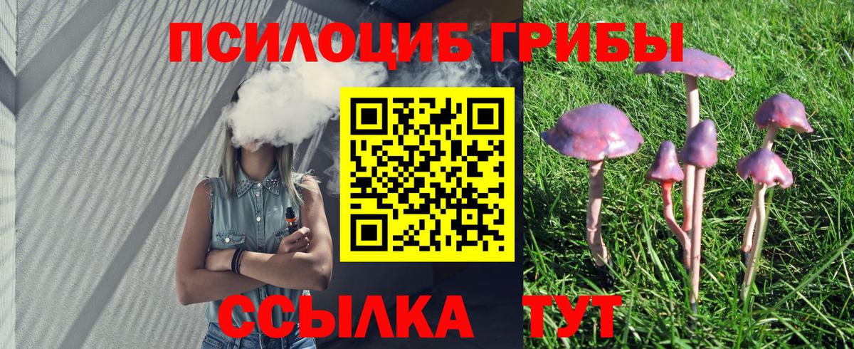 Галлюциногенные грибы прущие грибы Пыть-Ях
